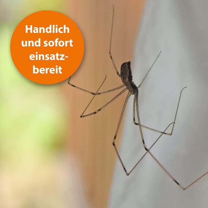 Ardap Spinnenspray 400 ml - Schnell und effektiv mit Langzeitwirkung bis zu 6 Wochen - Spinnenabwehr Ideal für Haus, Keller, Garage, Dachboden und Boot – Bild 3