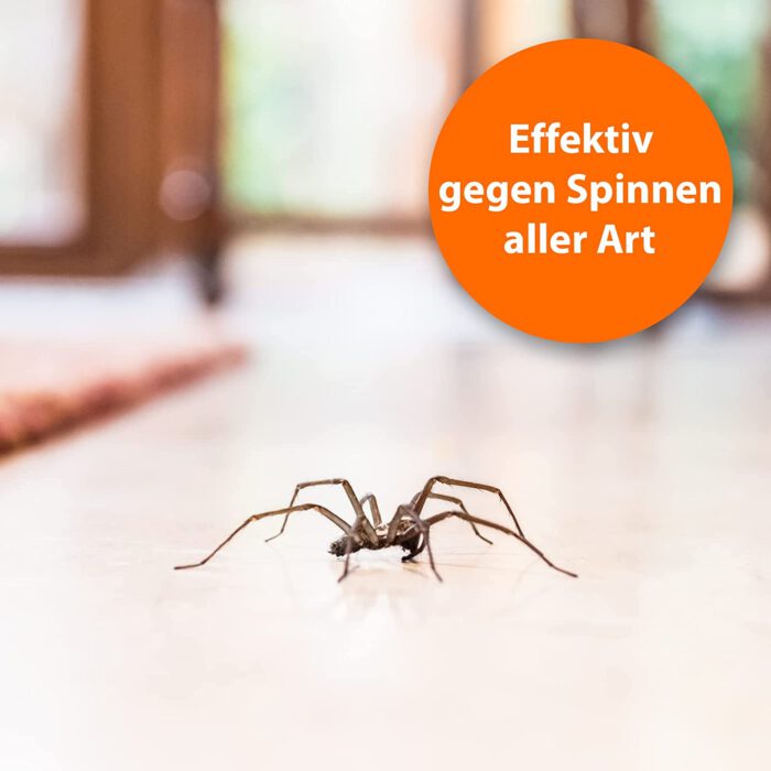 Ardap Spinnenspray 400 ml - Schnell und effektiv mit Langzeitwirkung bis zu 6 Wochen - Spinnenabwehr Ideal für Haus, Keller, Garage, Dachboden und Boot – Bild 4
