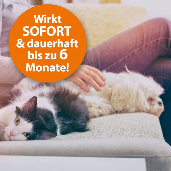 Ardap Flohspray mit Langzeitwirkung, 400 ml, schützt Ihre Umgebung bis zu 6 Monate, 400 ml – Bild 5