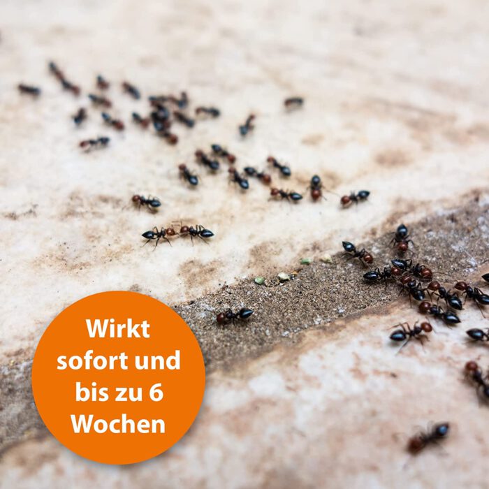 ARDAP Schädlingsspray mit Sofort- und Langzeitwirkung 750 ml - Insektenspray zur Bekämpfung von akutem Schädlings- und Insektenbefall - Bis zu 6 Wochen effektiver Schutz – Bild 6