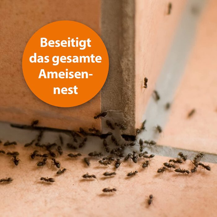 ARDAP Ameisenköder 3 Dosen Ameisenköderbox als Ameisenfalle Ameisen bekämpfen leicht gemachter Ameisenköder für den Innen- und Außenbereich gegen Ameisen im Haus mit neuartigem Ködergel Ameisengift – Bild 7