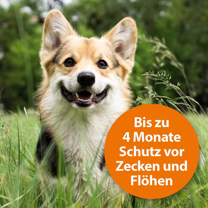 ARDAP Zecken- und Flohhalsband für Hunde – Bild 6