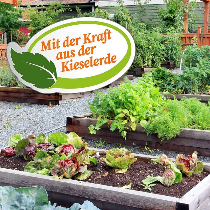 ARDAP Grünes Aktiv Pulver Kieselgur 200 g in 1 Liter Flasche mit Langzeitwirkung gegen Milben, Ameisen, Flöhe, Asseln uvm. Kieselgur für Hühner, Anti-Staubmilben-Hühner – Bild 4